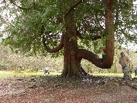 P1030239.JPG P1030239.JPG