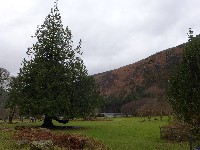 P1030240.JPG P1030240.JPG