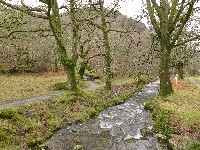 P1030242.JPG P1030242.JPG