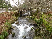 P1030243.JPG P1030243.JPG