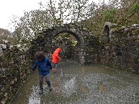 P1030247.JPG P1030247.JPG