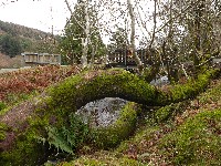 P1030255.JPG P1030255.JPG