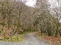 P1030260.JPG P1030260.JPG