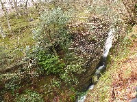 P1030264.JPG P1030264.JPG