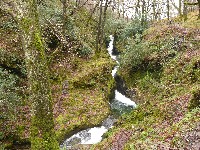 P1030267.JPG P1030267.JPG