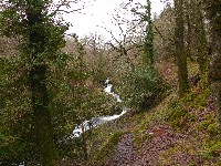 P1030270.JPG P1030270.JPG