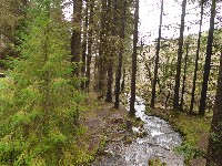 P1030274.JPG P1030274.JPG