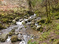 P1030276.JPG P1030276.JPG