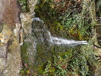 P1030278.JPG P1030278.JPG