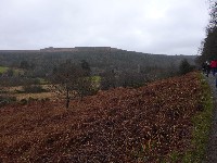 P1030280.JPG P1030280.JPG