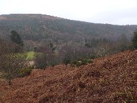 P1030282.JPG P1030282.JPG