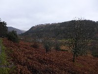 P1030285.JPG P1030285.JPG