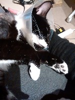 IMG_20180120_101310949.jpg IMG_20180120_101310949.jpg