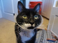 P1030300.JPG P1030300.JPG