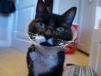 P1030303.JPG P1030303.JPG