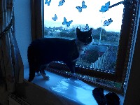 P1030305.JPG P1030305.JPG