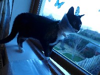 P1030306.JPG P1030306.JPG