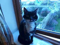 P1030309.JPG P1030309.JPG