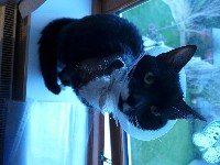 P1030311.JPG P1030311.JPG