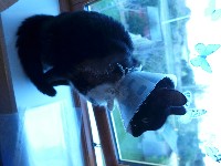 P1030312.JPG P1030312.JPG