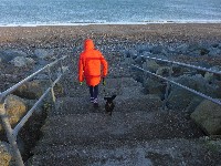 P1030354.JPG P1030354.JPG