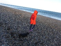 P1030357.JPG P1030357.JPG