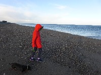 P1030358.JPG P1030358.JPG