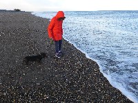 P1030360.JPG P1030360.JPG