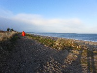 P1030374.JPG P1030374.JPG