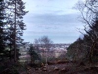 IMG_20180203_171902060_HDR.jpg IMG_20180203_171902060_HDR.jpg