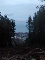 IMG_20180203_172305940.jpg IMG_20180203_172305940.jpg