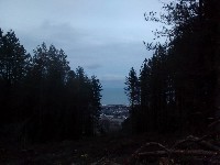 IMG_20180203_172313579.jpg IMG_20180203_172313579.jpg