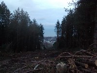 IMG_20180203_172316386.jpg IMG_20180203_172316386.jpg