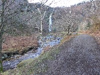 P1030389.JPG P1030389.JPG