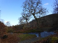 P1030390.JPG P1030390.JPG