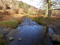 P1030392.JPG P1030392.JPG