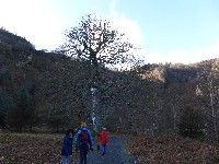 P1030398.JPG P1030398.JPG