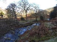 P1030405.JPG P1030405.JPG