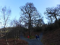 P1030409.JPG P1030409.JPG