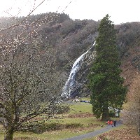 P1030419.JPG P1030419.JPG