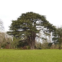 P1030434.JPG P1030434.JPG