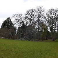 P1030492.JPG P1030492.JPG