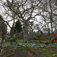 P1030502.JPG P1030502.JPG