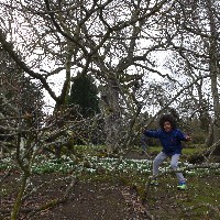 P1030503.JPG P1030503.JPG