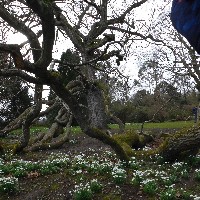 P1030508.JPG P1030508.JPG