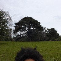 P1030510.JPG P1030510.JPG