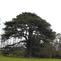 P1030511.JPG P1030511.JPG