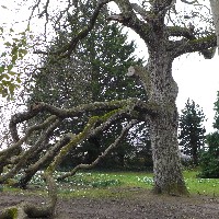 P1030513.JPG P1030513.JPG