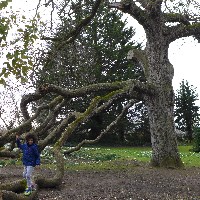 P1030514.JPG P1030514.JPG