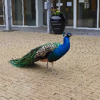 P1030518.JPG P1030518.JPG